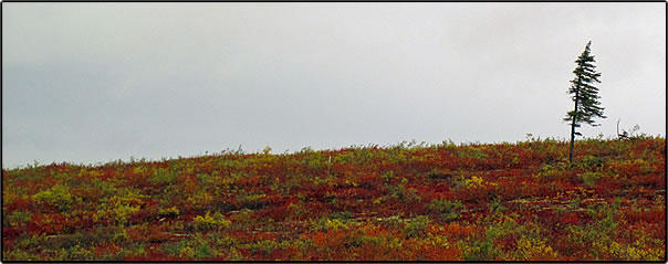 Destination Dempster