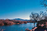 The Salt River