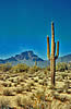 Superstition Mountains, Sonoran Desert 