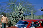 Murray at the Frontier Motel, Laredo
