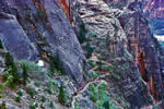 Zion National Park