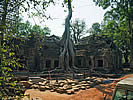 Ta Prohm temple